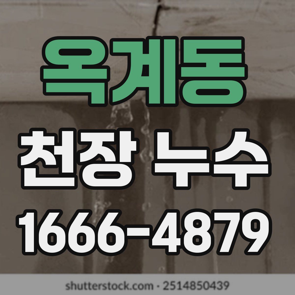 옥계동 천장 누수