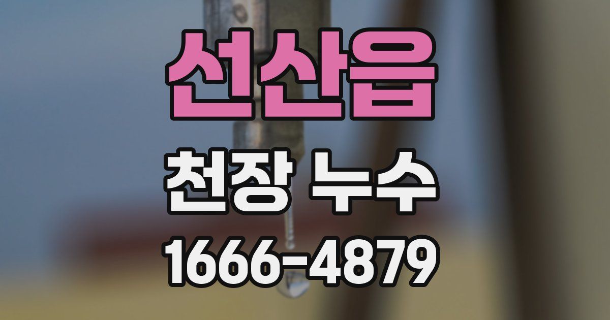 선산읍 천장 누수