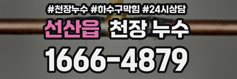 선산읍 천장 누수