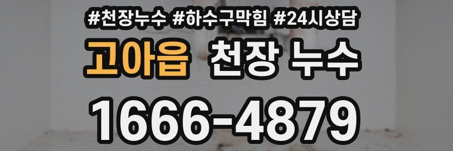 고아읍 천장 누수