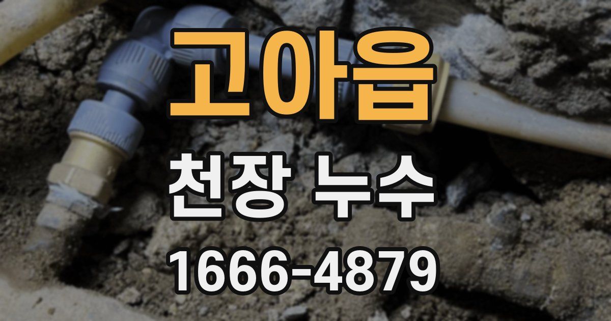 고아읍 천장 누수