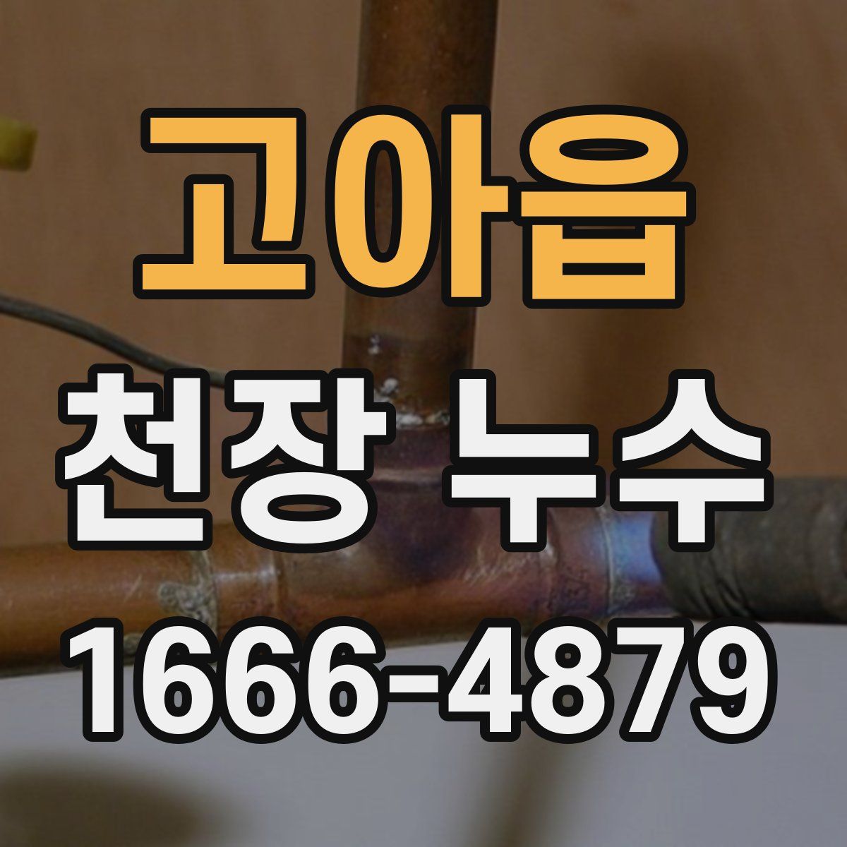 고아읍 천장 누수