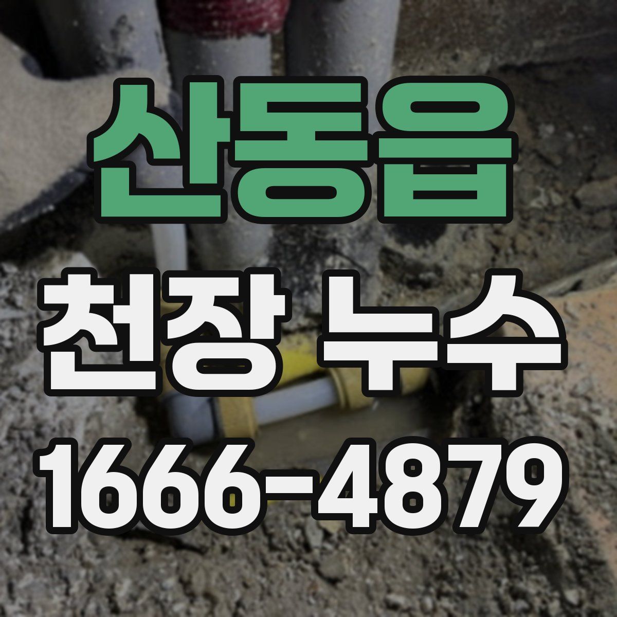 산동읍 천장 누수
