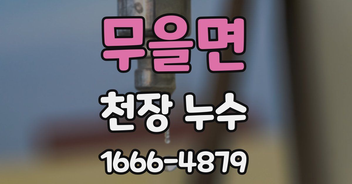 무을면 천장 누수