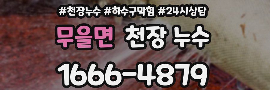 무을면 천장 누수