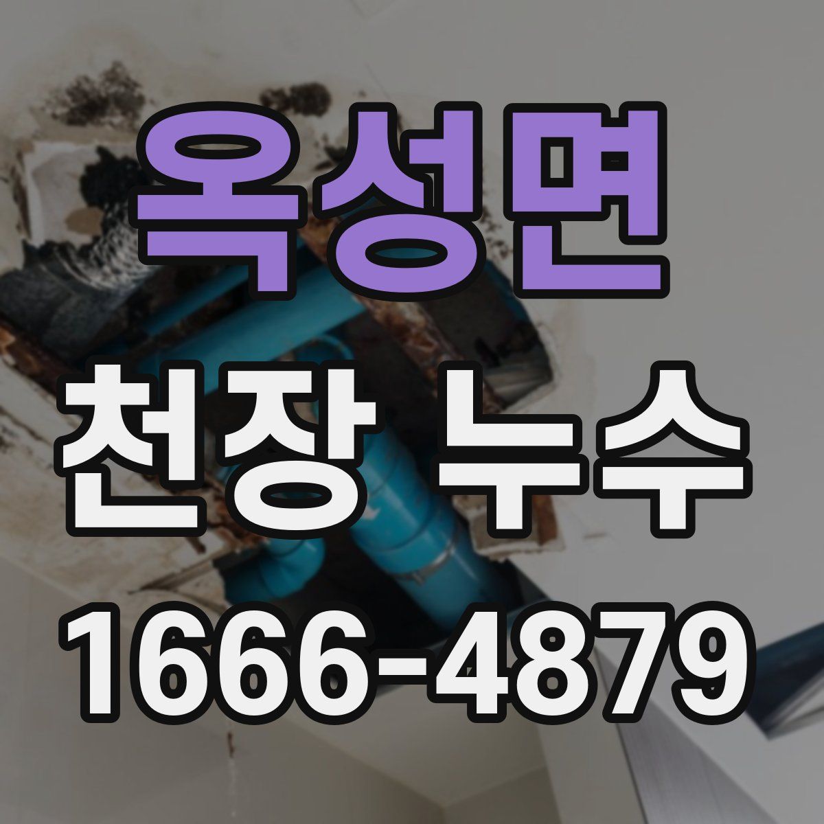 옥성면 천장 누수