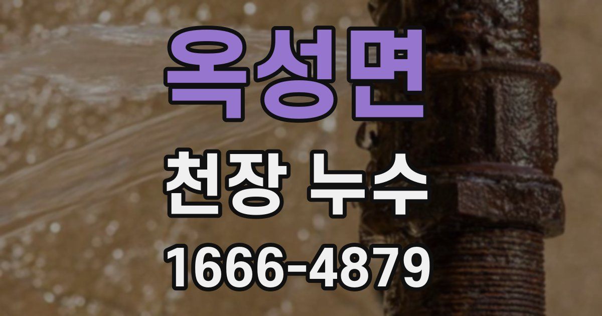 옥성면 천장 누수