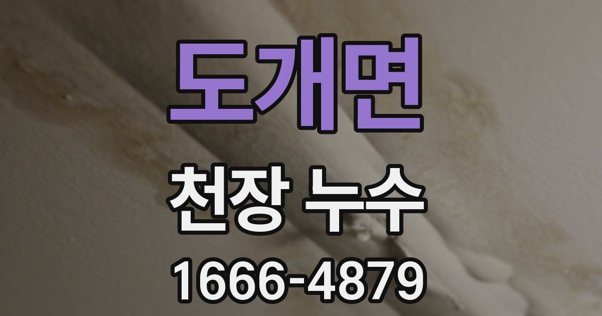 도개면 천장 누수
