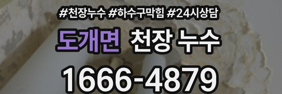 도개면 천장 누수