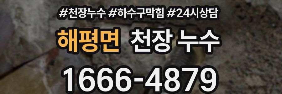 해평면 천장 누수