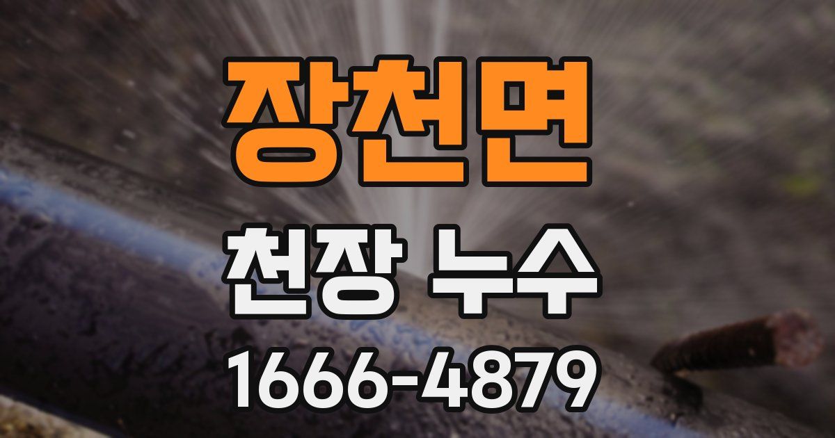 장천면 천장 누수