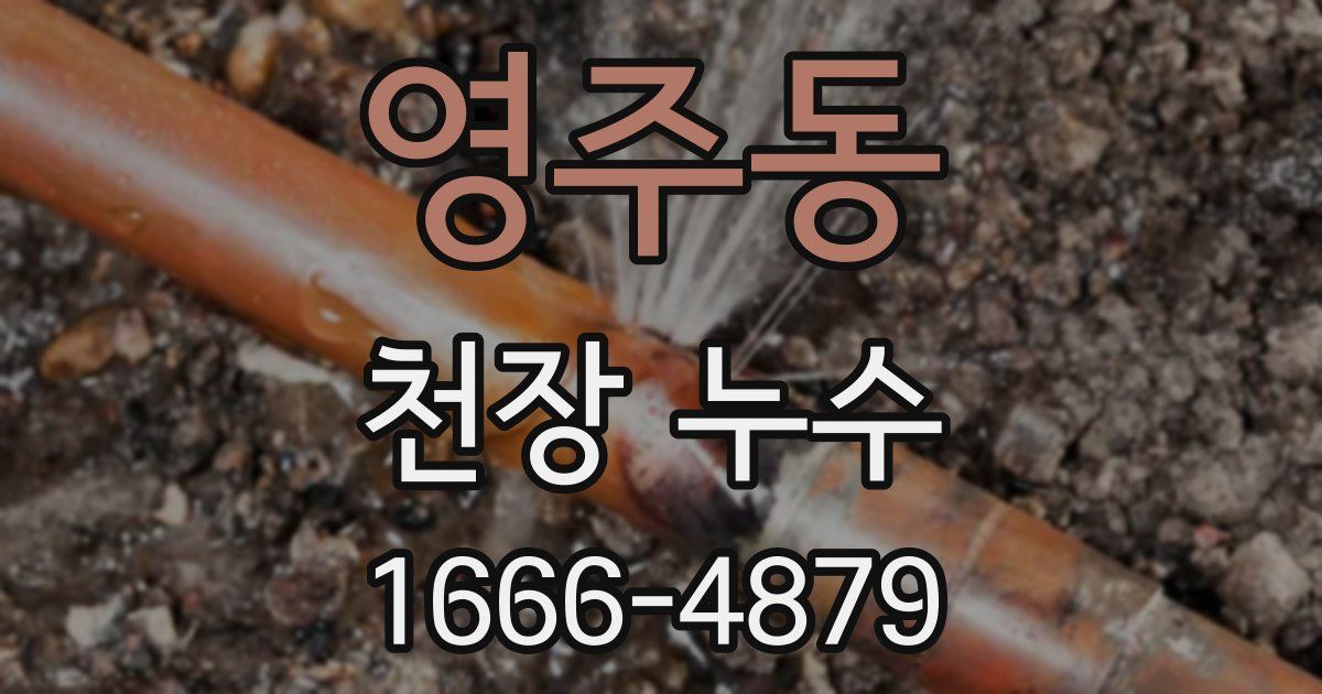 영주동 천장 누수