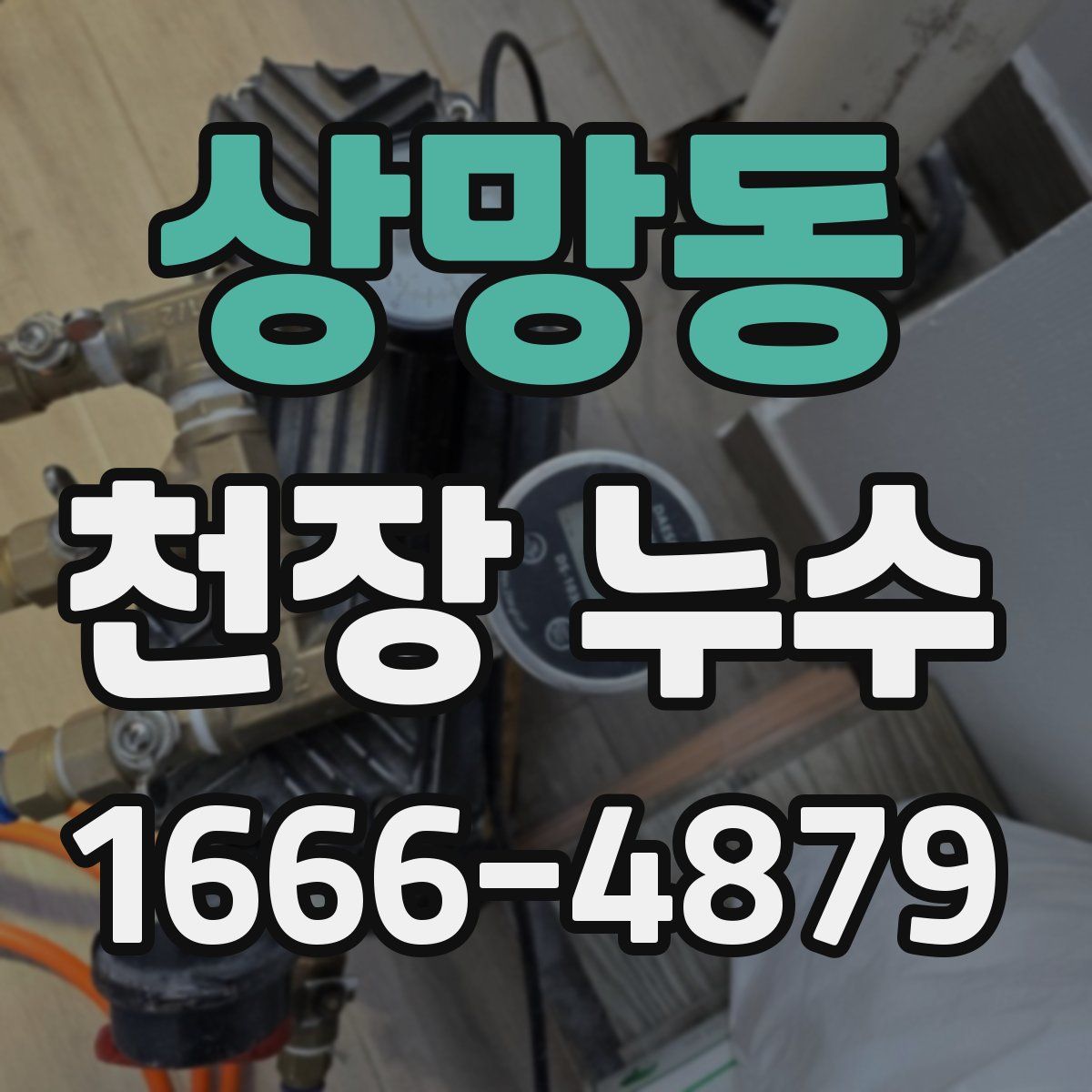 상망동 천장 누수