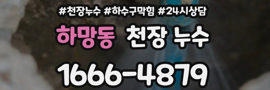 하망동 천장 누수