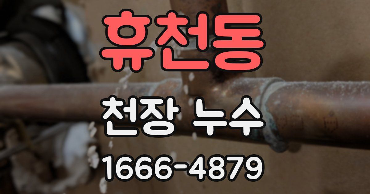 휴천동 천장 누수