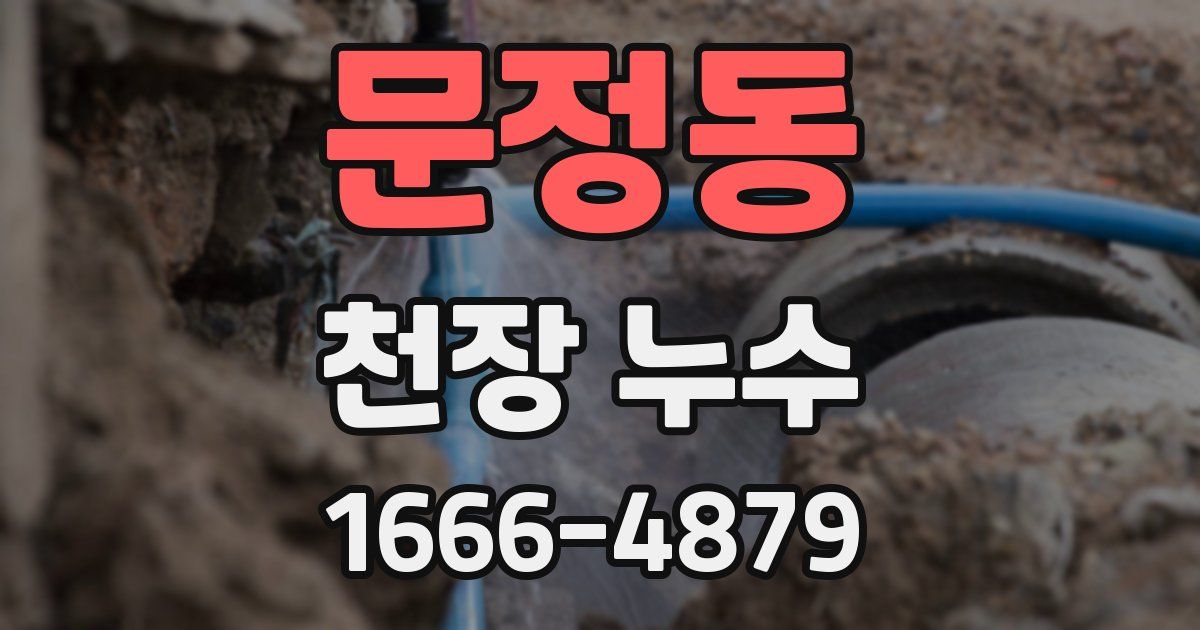 문정동 천장 누수