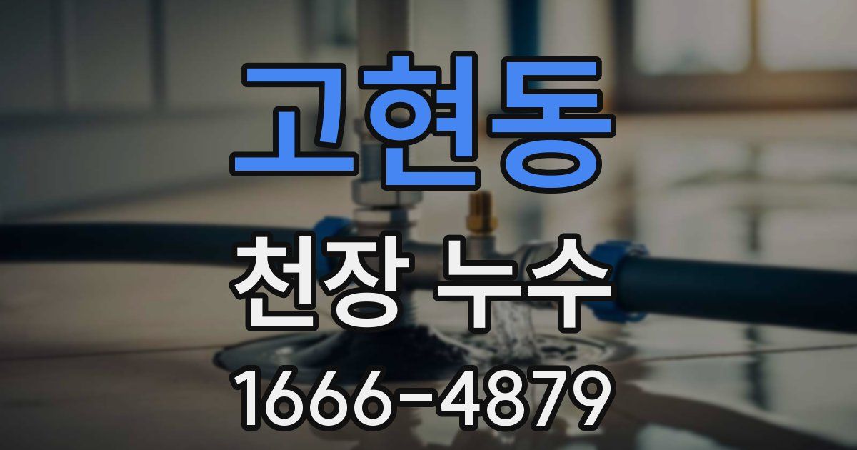 고현동 천장 누수