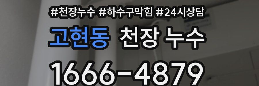 고현동 천장 누수