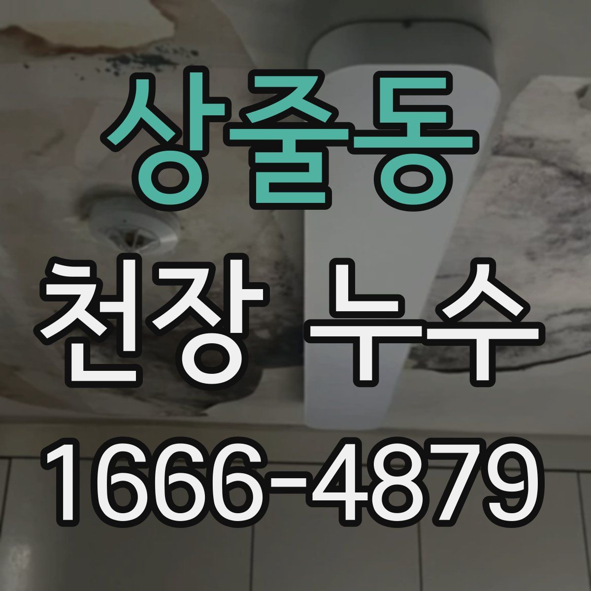상줄동 천장 누수