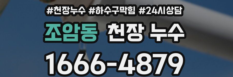 조암동 천장 누수