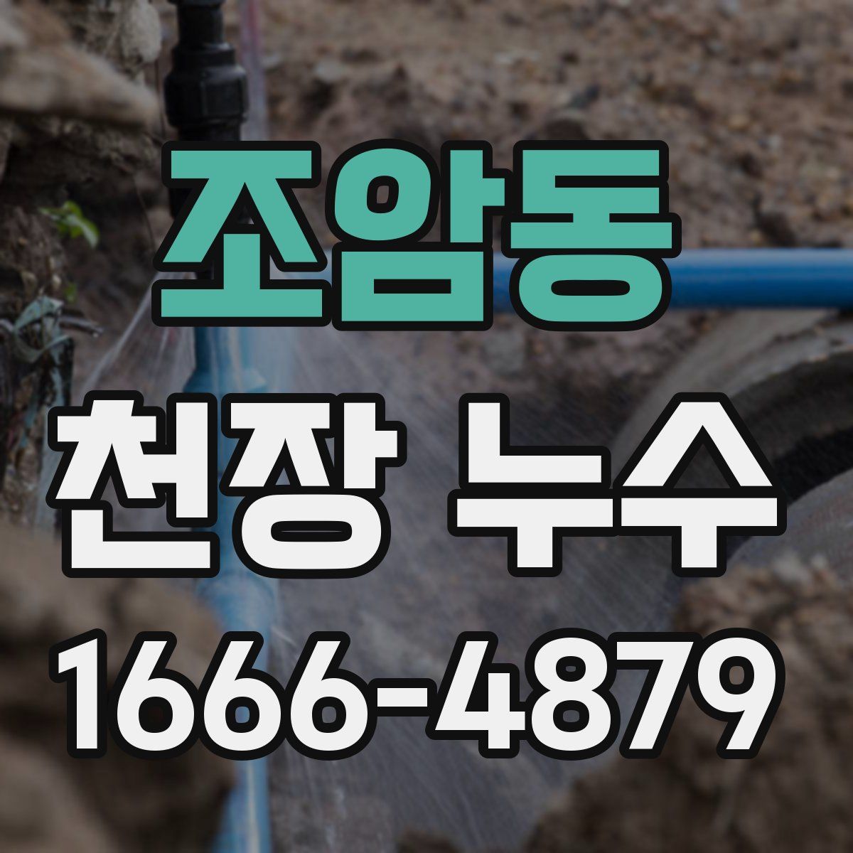 조암동 천장 누수