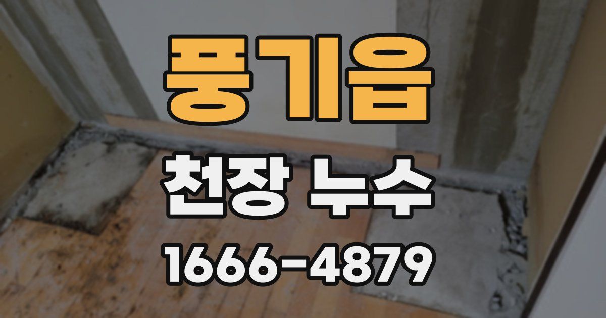 풍기읍 천장 누수