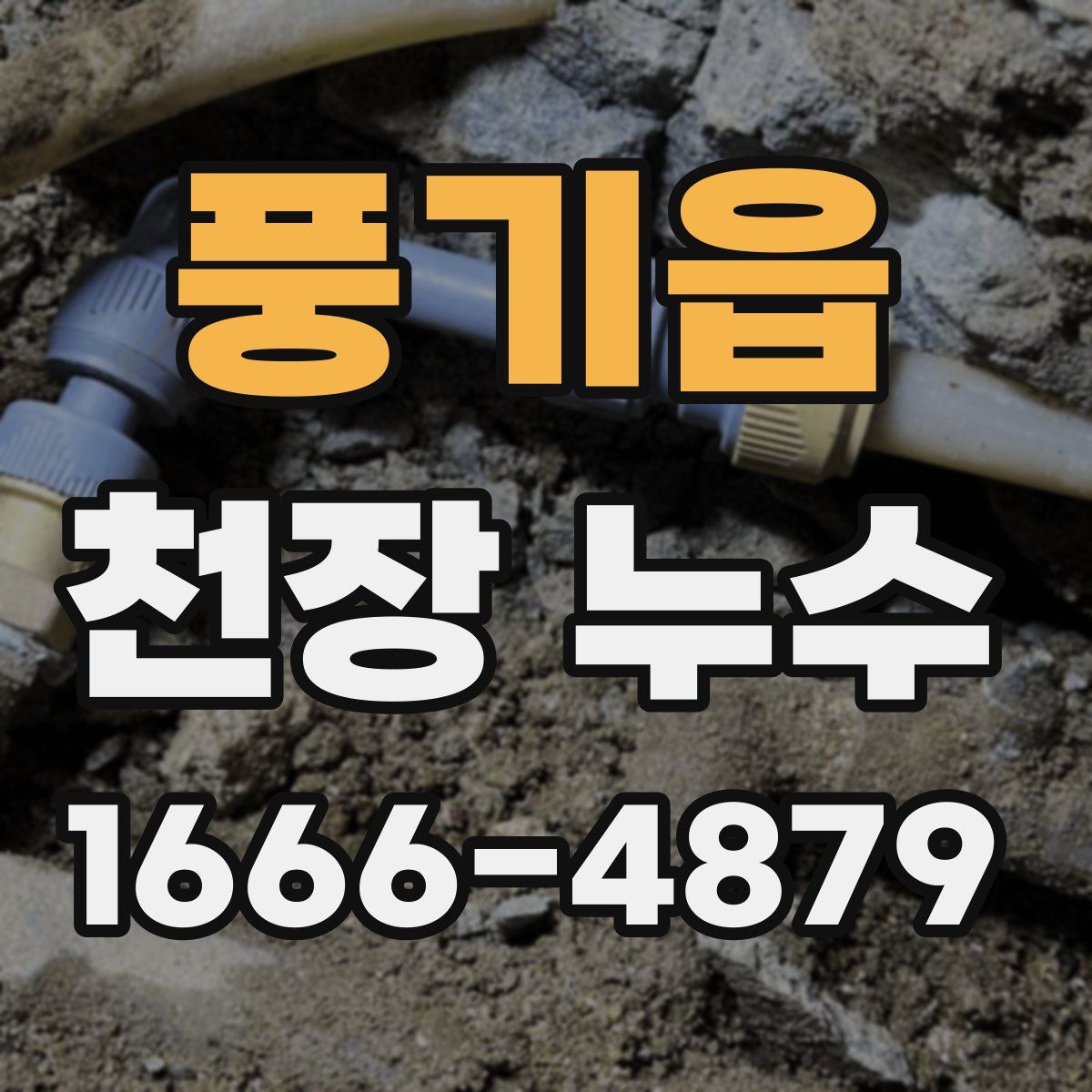 풍기읍 천장 누수