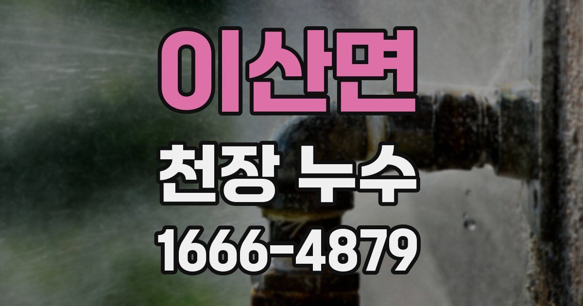 이산면 천장 누수