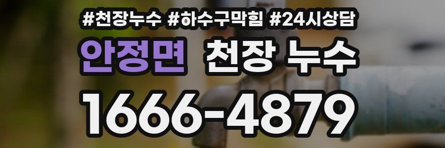 안정면 천장 누수