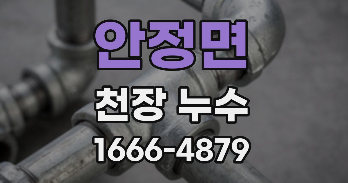 안정면 천장 누수