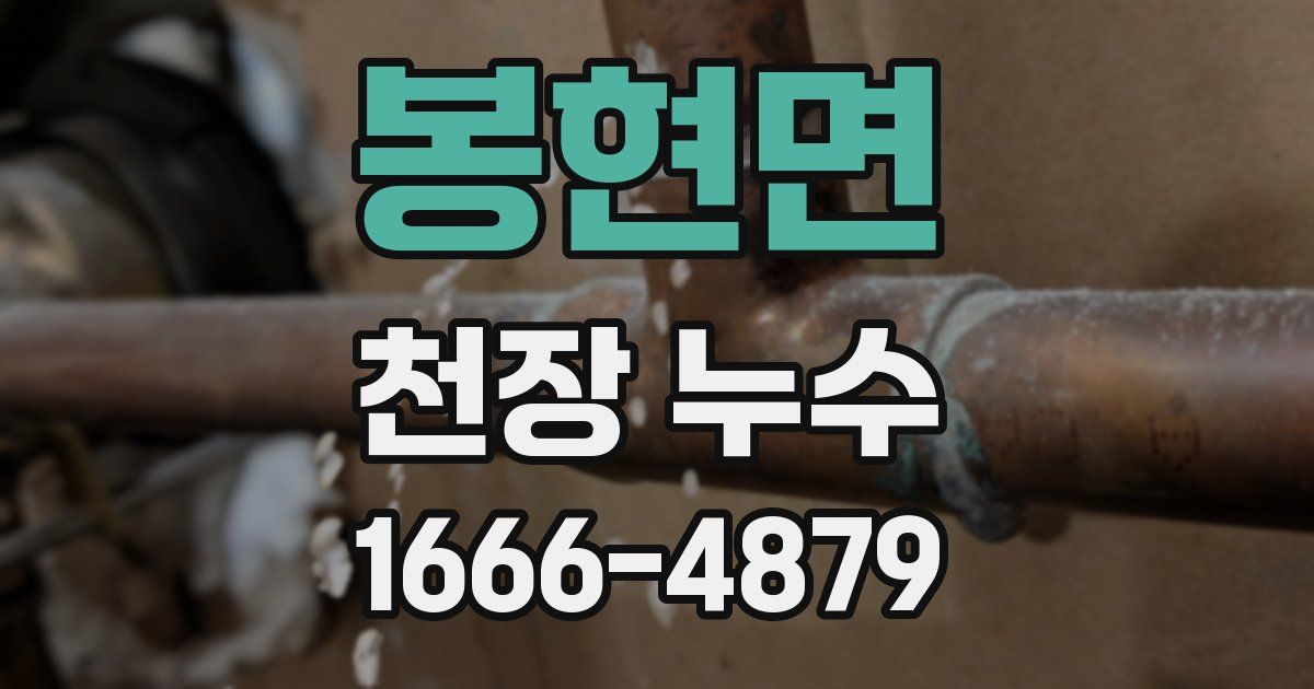 봉현면 천장 누수