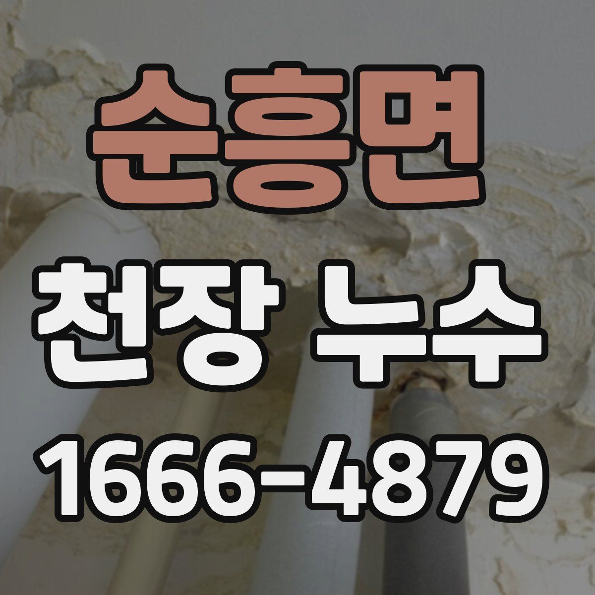 순흥면 천장 누수