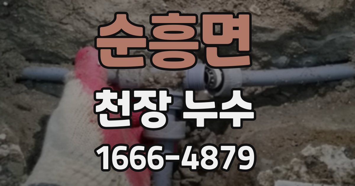 순흥면 천장 누수