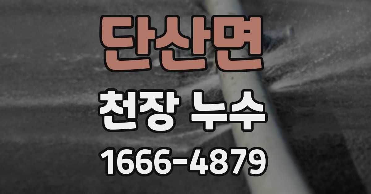 단산면 천장 누수