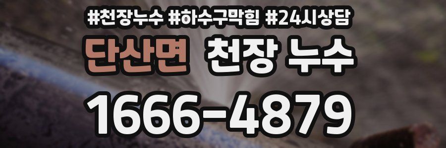 단산면 천장 누수