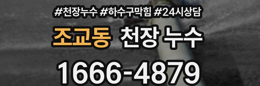 조교동 천장 누수