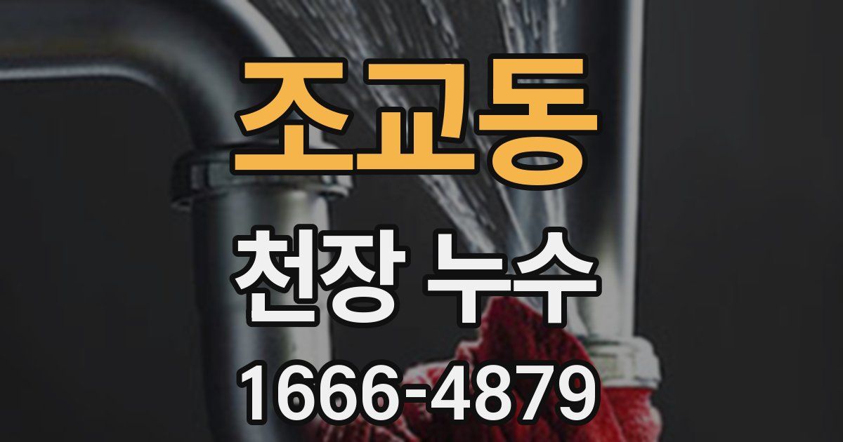 조교동 천장 누수