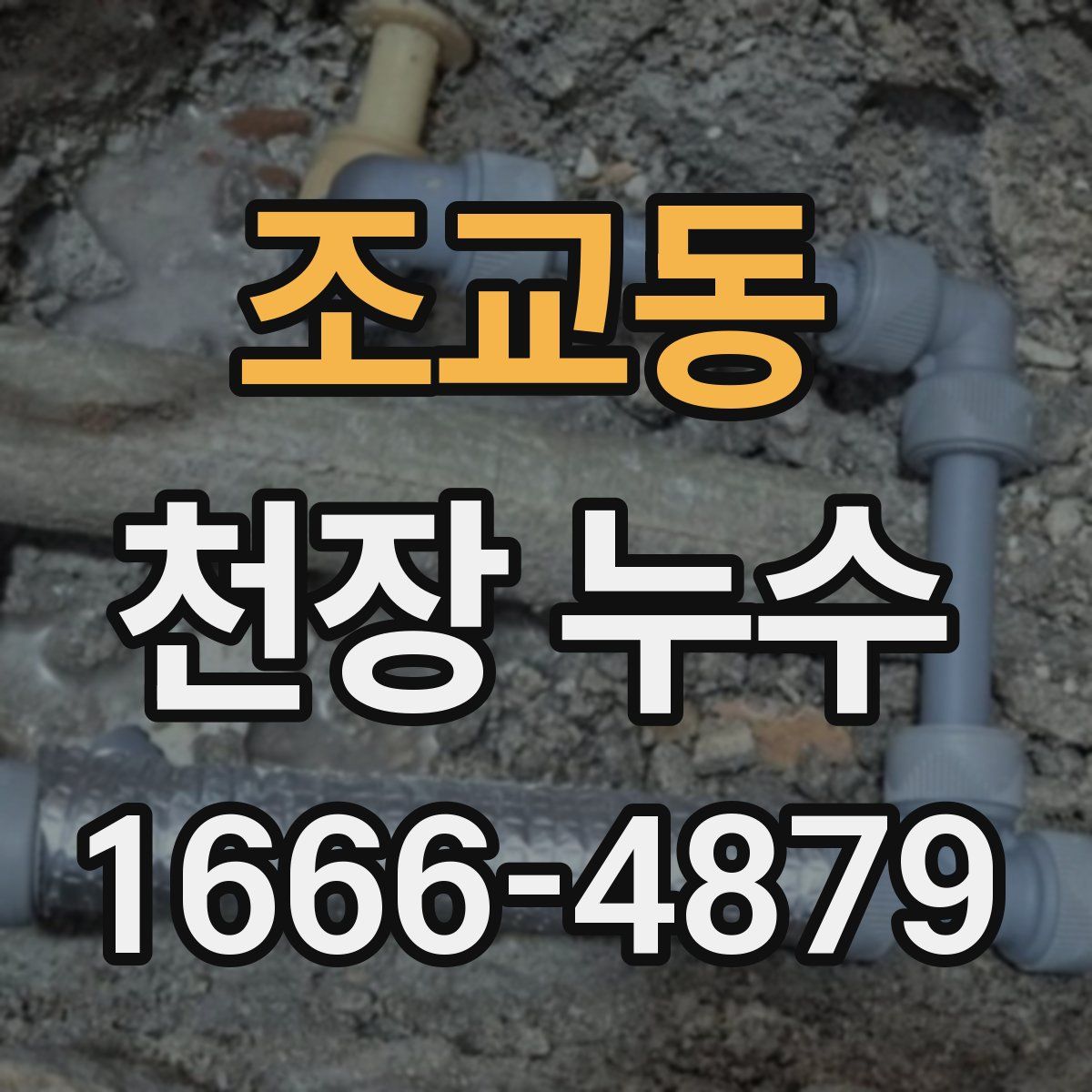 조교동 천장 누수