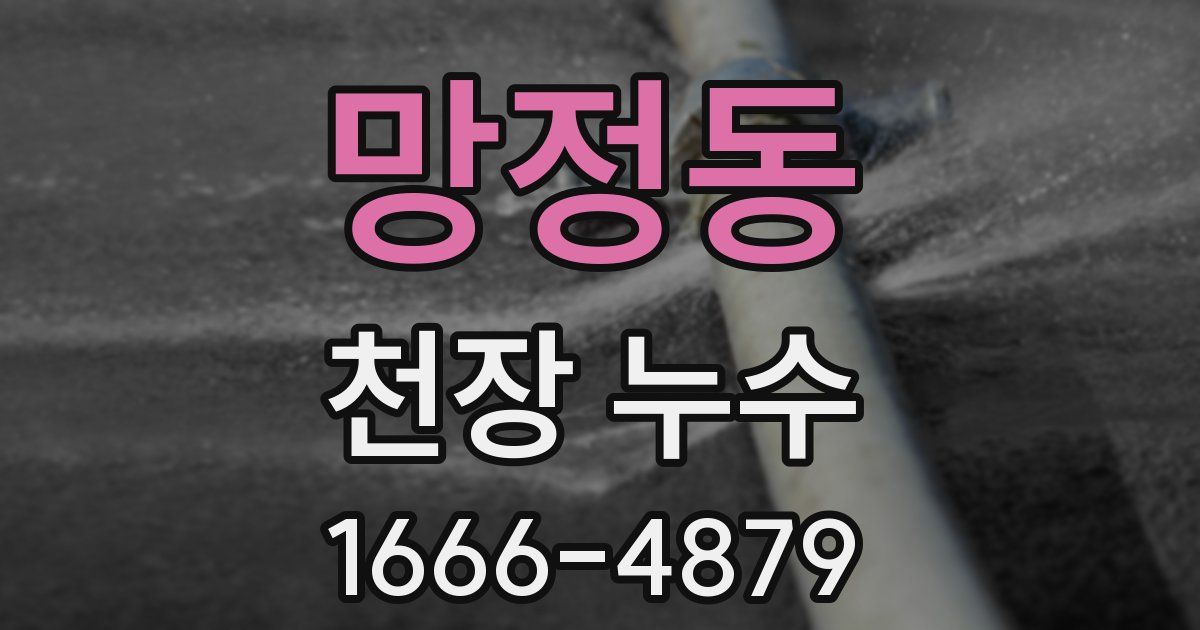 망정동 천장 누수