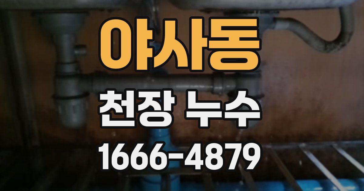 야사동 천장 누수