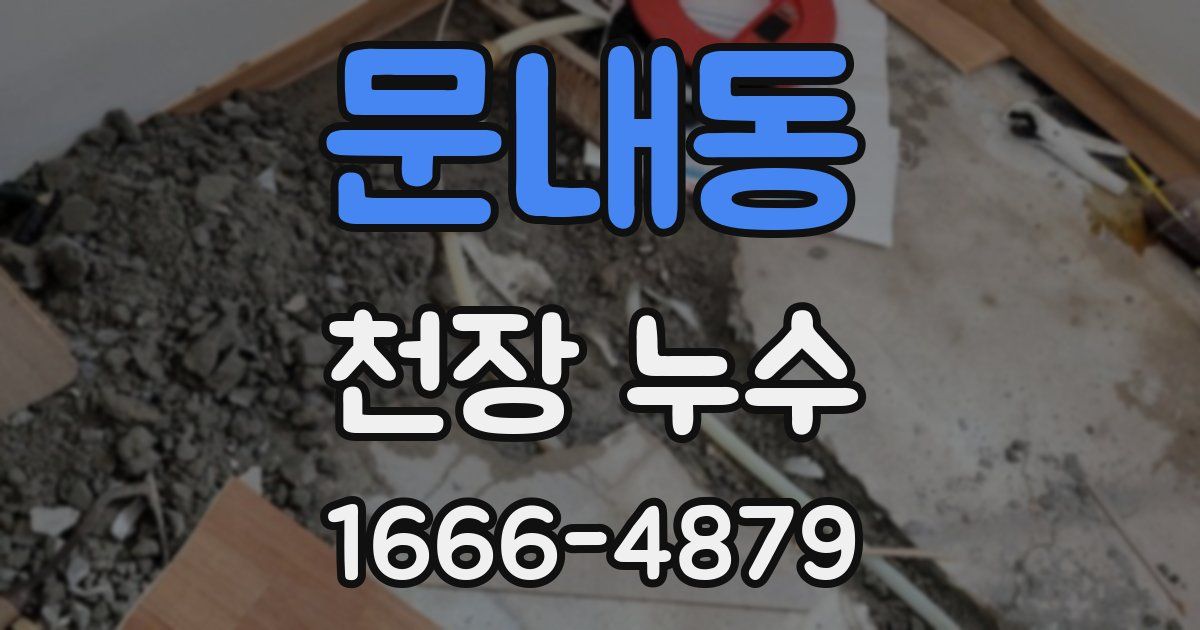 문내동 천장 누수