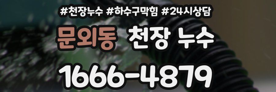 문외동 천장 누수