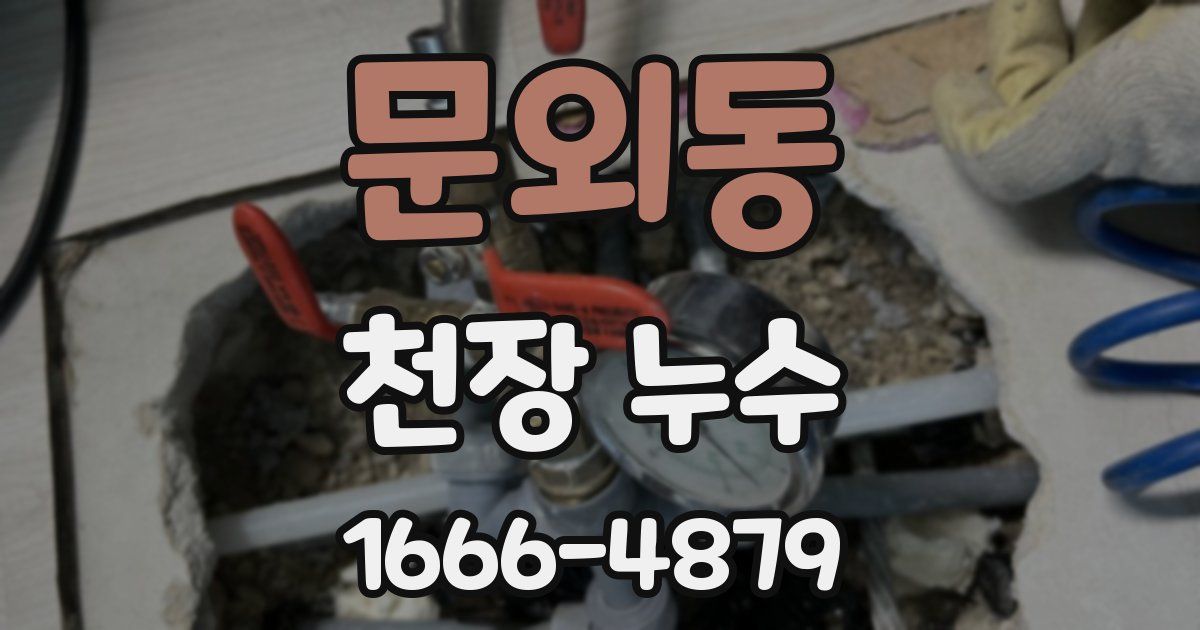 문외동 천장 누수
