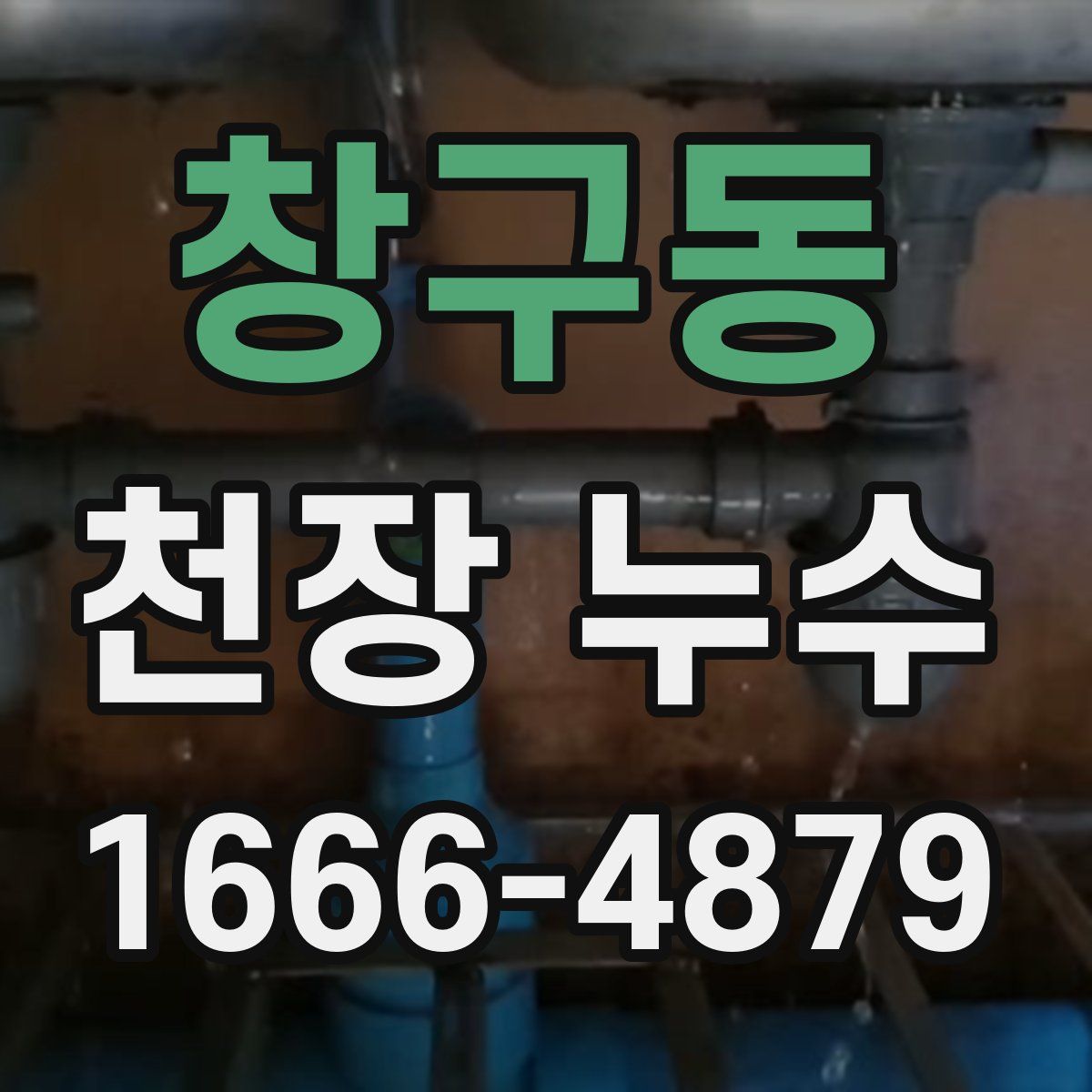 창구동 천장 누수