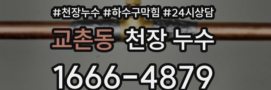 교촌동 천장 누수