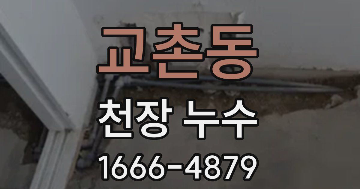 교촌동 천장 누수