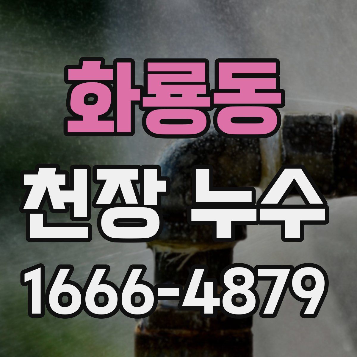 화룡동 천장 누수