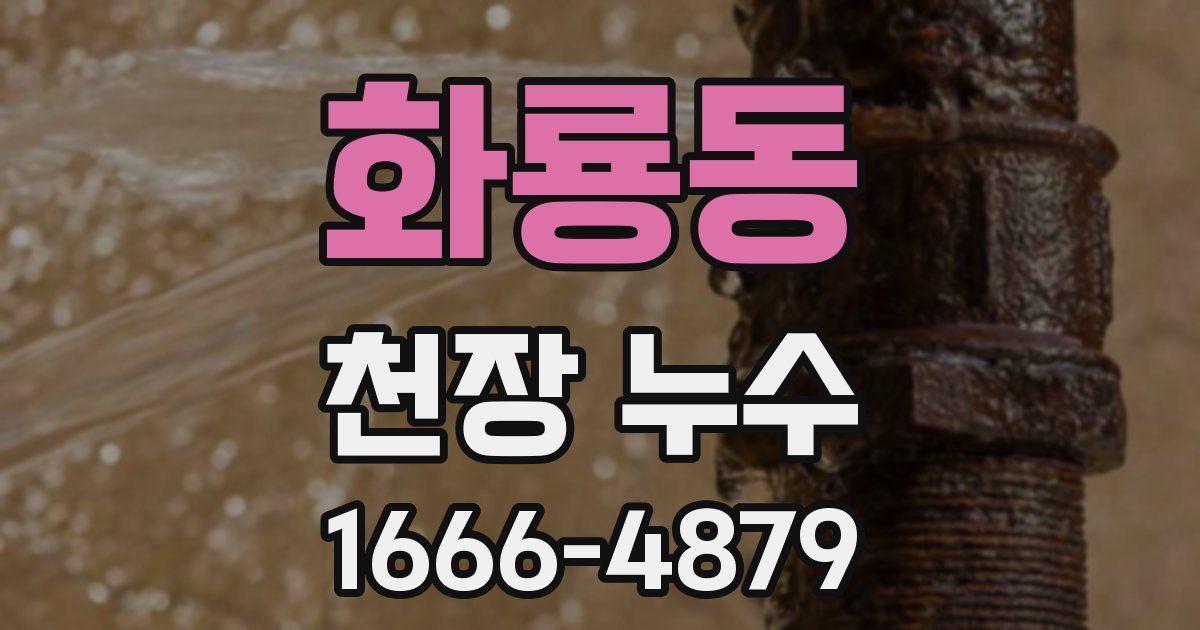 화룡동 천장 누수