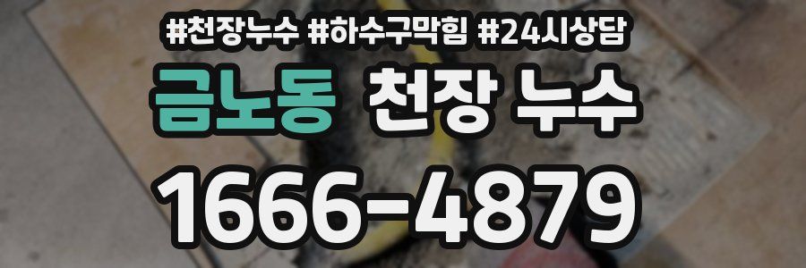 금노동 천장 누수