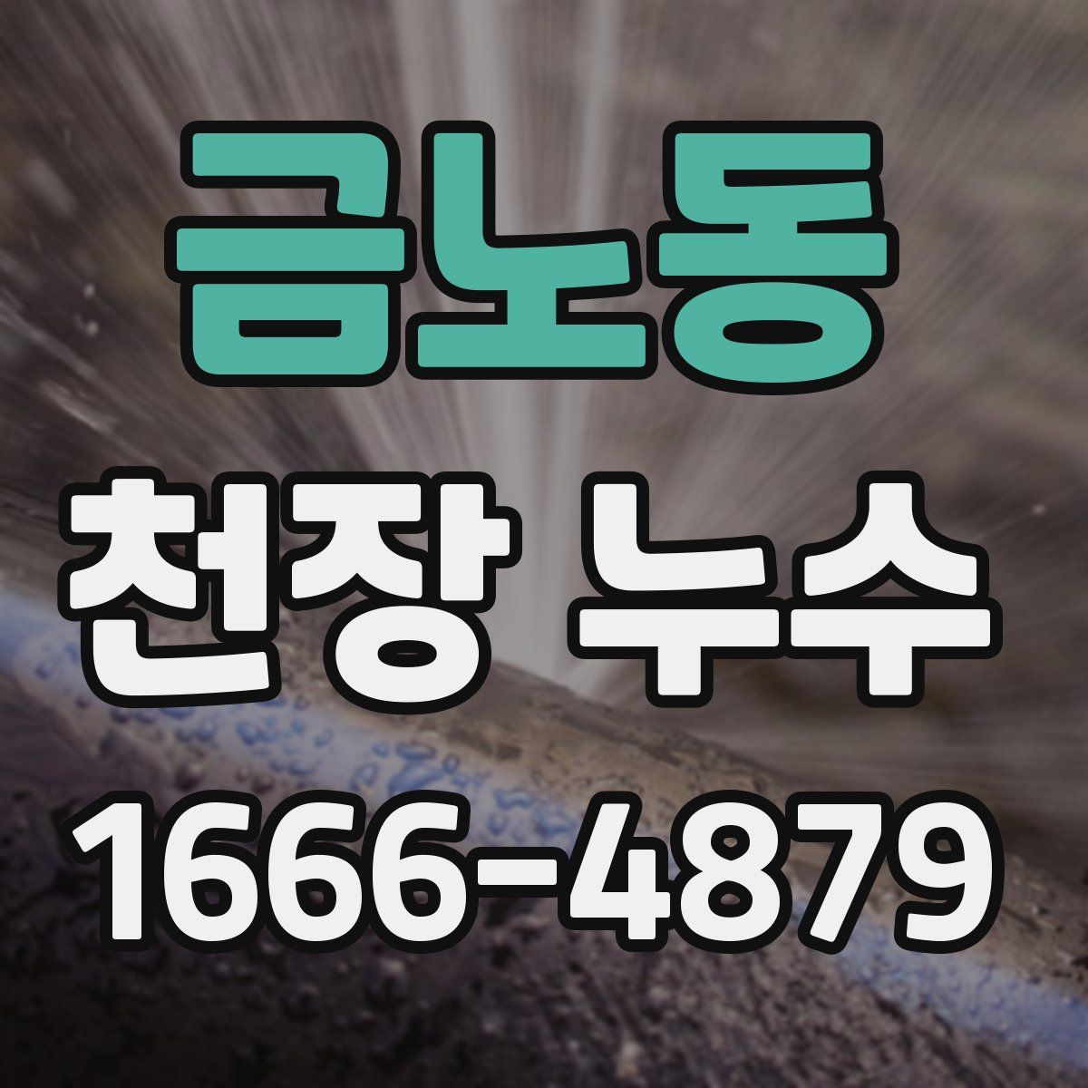 금노동 천장 누수